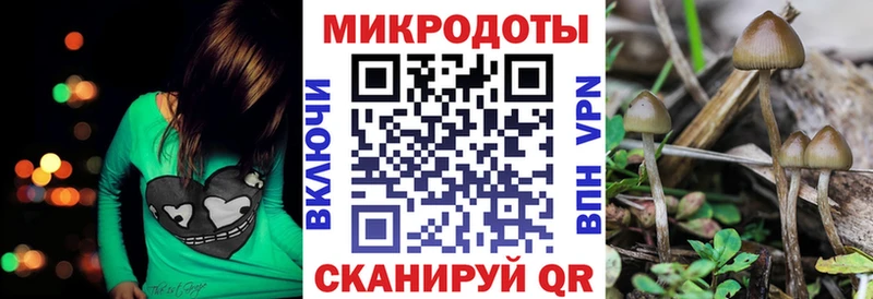 Псилоцибиновые грибы мицелий  купить закладку  Электрогорск 