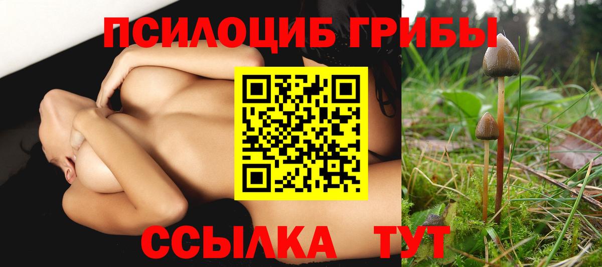 Галлюциногенные грибы Psilocybine cubensis  Вход с VPN  Электрогорск 